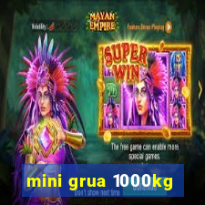 mini grua 1000kg